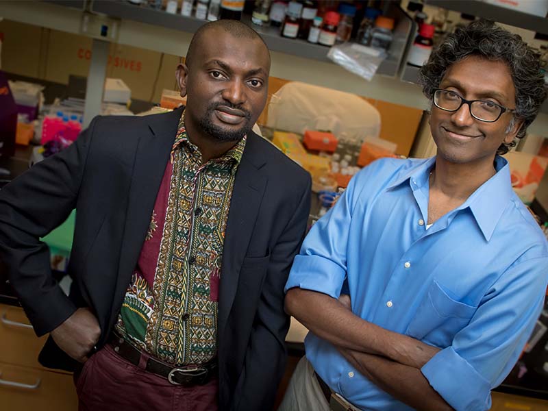 Mellon Foundation’s 1.5 million grant will expand Tulane’s community